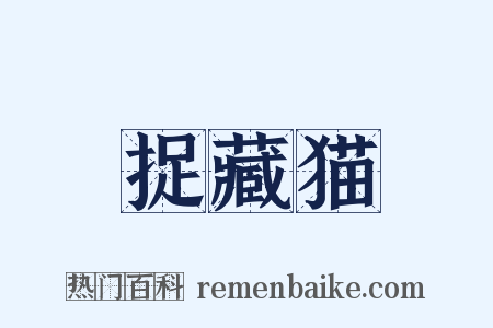 捉藏猫是什么意思的图片